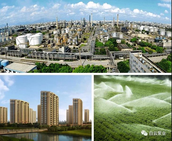 1544770154283116.jpg 2.jpg